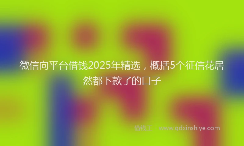 微信向平台借钱2025年精选，概括5个征信花居然都下款了的口子