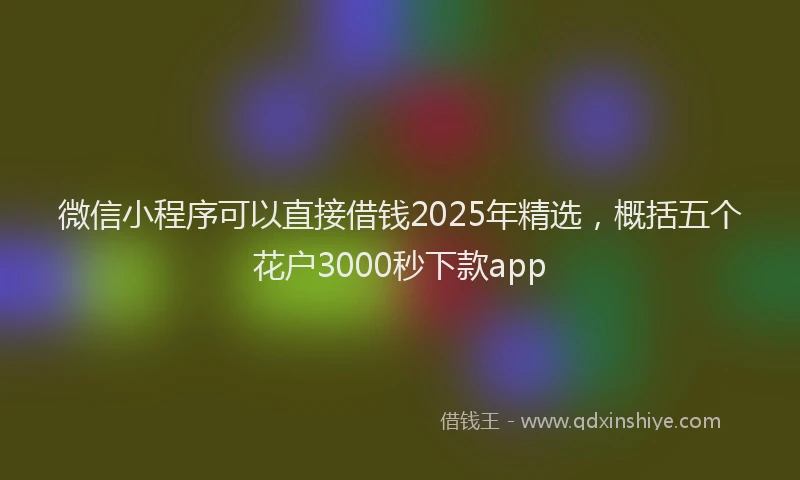 微信小程序可以直接借钱2025年精选，概括五个花户3000秒下款app