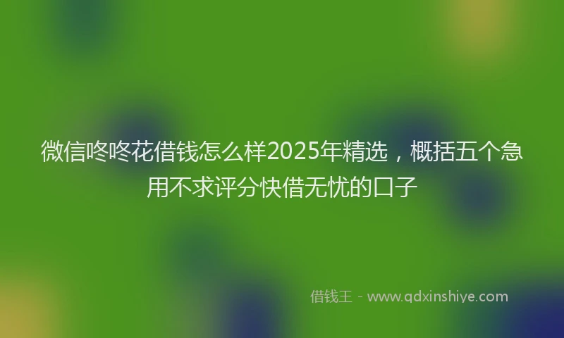 微信咚咚花借钱怎么样2025年精选，概括五个急用不求评分快借无忧的口子