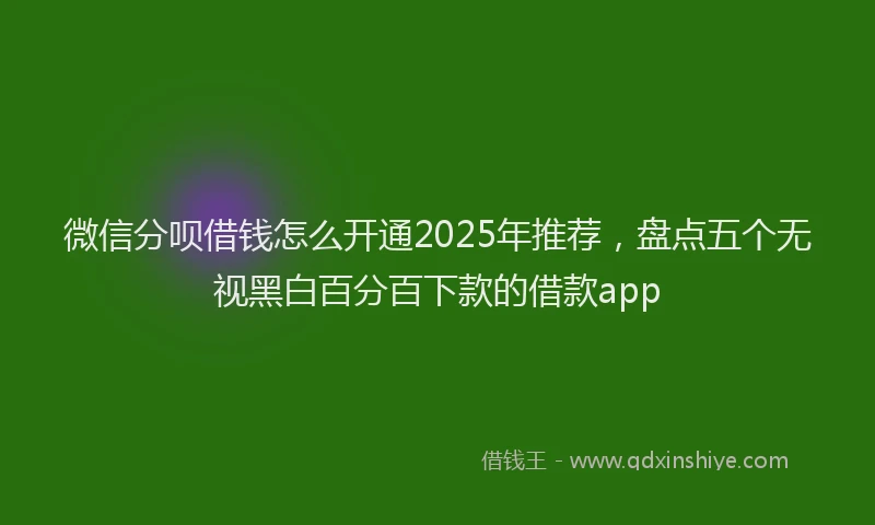 微信分呗借钱怎么开通2025年推荐，盘点五个无视黑白百分百下款的借款app