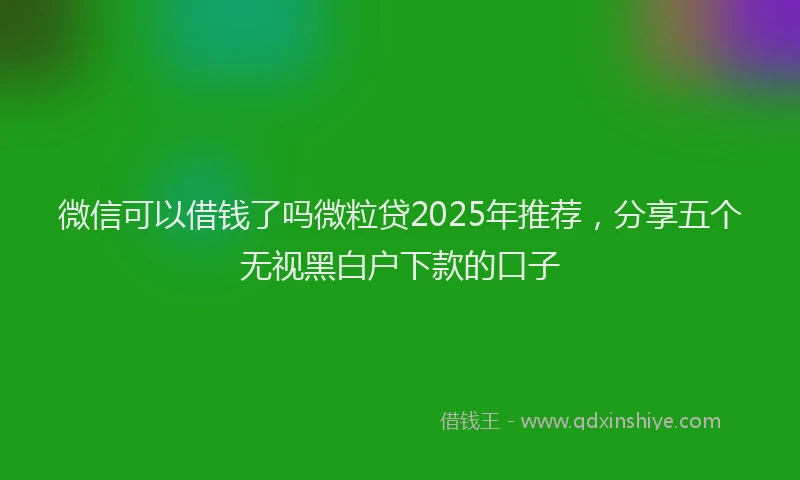 微信可以借钱了吗微粒贷2025年推荐，分享五个无视黑白户下款的口子