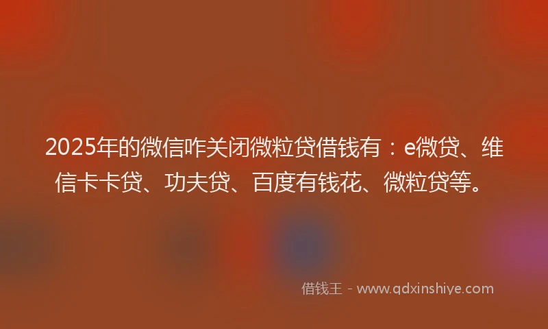 2025年的微信咋关闭微粒贷借钱有：e微贷、维信卡卡贷、功夫贷、百度有钱花、微粒贷等。