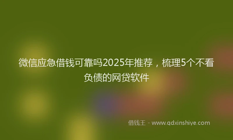 微信应急借钱可靠吗2025年推荐，梳理5个不看负债的网贷软件