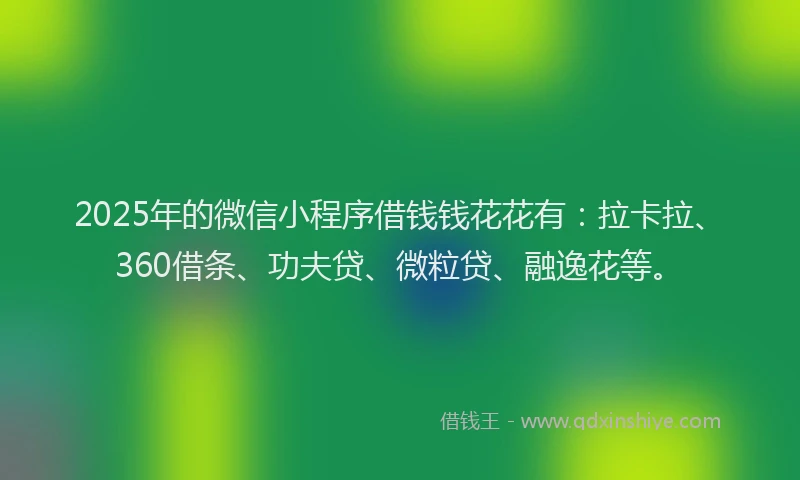 2025年的微信小程序借钱钱花花有：拉卡拉、360借条、功夫贷、微粒贷、融逸花等。