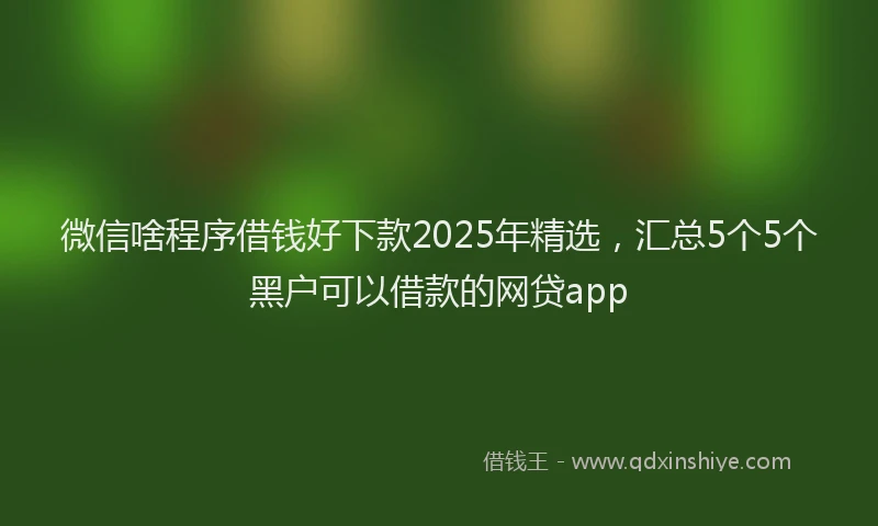 微信啥程序借钱好下款2025年精选，汇总5个5个黑户可以借款的网贷app