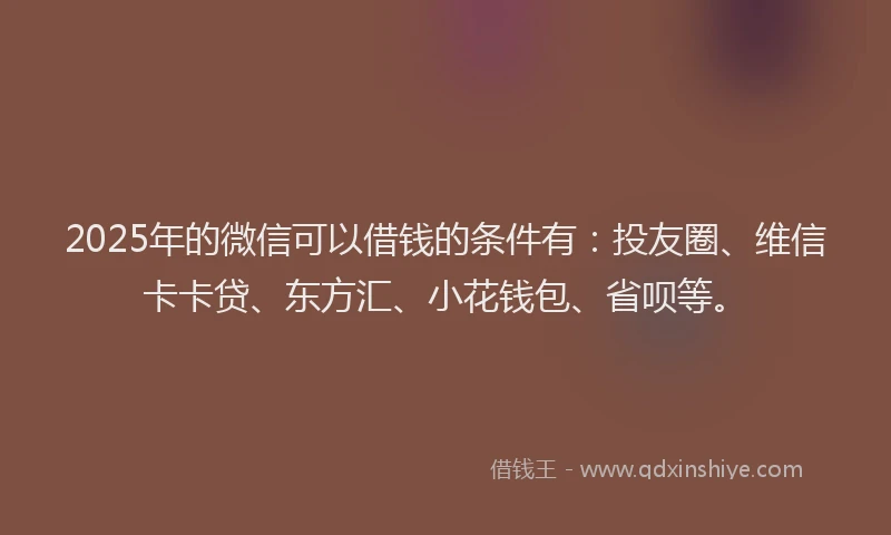 2025年的微信可以借钱的条件有：投友圈、维信卡卡贷、东方汇、小花钱包、省呗等。