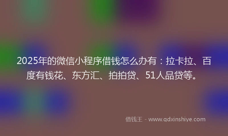 2025年的微信小程序借钱怎么办有：拉卡拉、百度有钱花、东方汇、拍拍贷、51人品贷等。