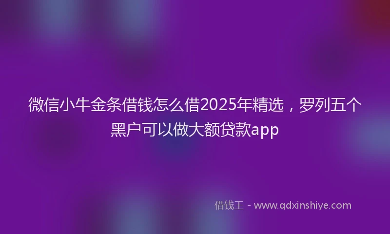 微信小牛金条借钱怎么借2025年精选，罗列五个黑户可以做大额贷款app