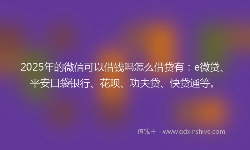 2025年的微信可以借钱吗怎么借贷有：e微贷、平安口袋银行、花呗、功夫贷、快贷通等。