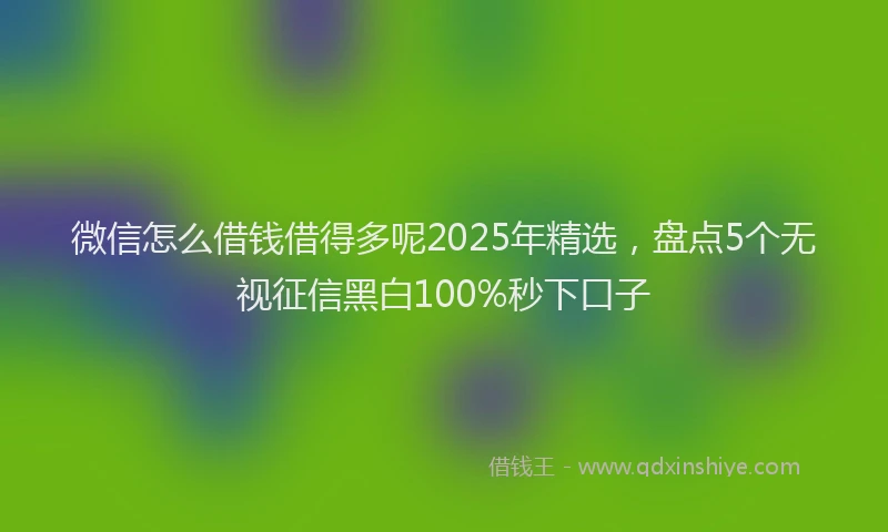 微信怎么借钱借得多呢2025年精选，盘点5个无视征信黑白100%秒下口子
