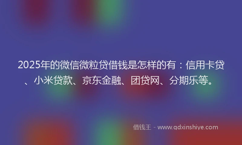 2025年的微信微粒贷借钱是怎样的有：信用卡贷、小米贷款、京东金融、团贷网、分期乐等。