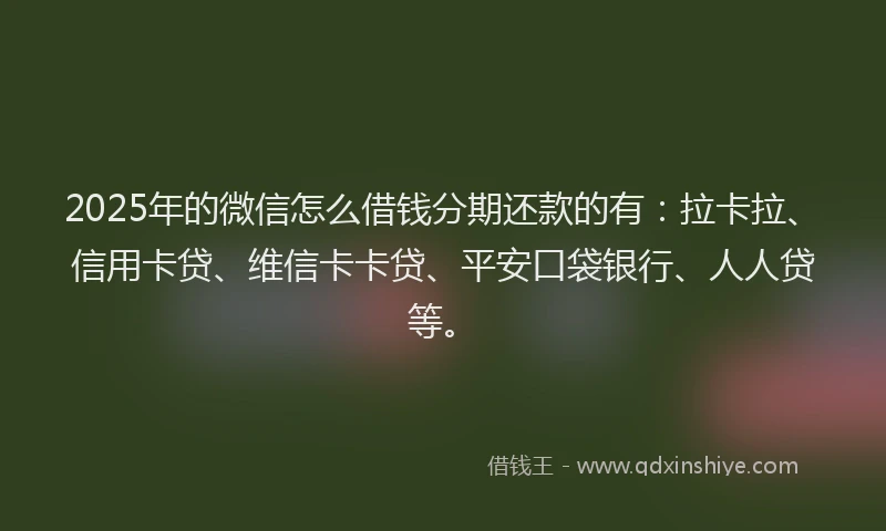 2025年的微信怎么借钱分期还款的有：拉卡拉、信用卡贷、维信卡卡贷、平安口袋银行、人人贷等。