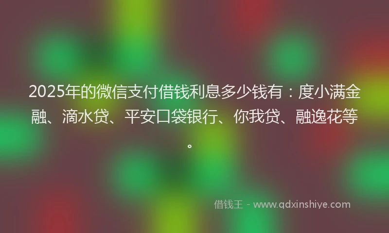 2025年的微信支付借钱利息多少钱有：度小满金融、滴水贷、平安口袋银行、你我贷、融逸花等。