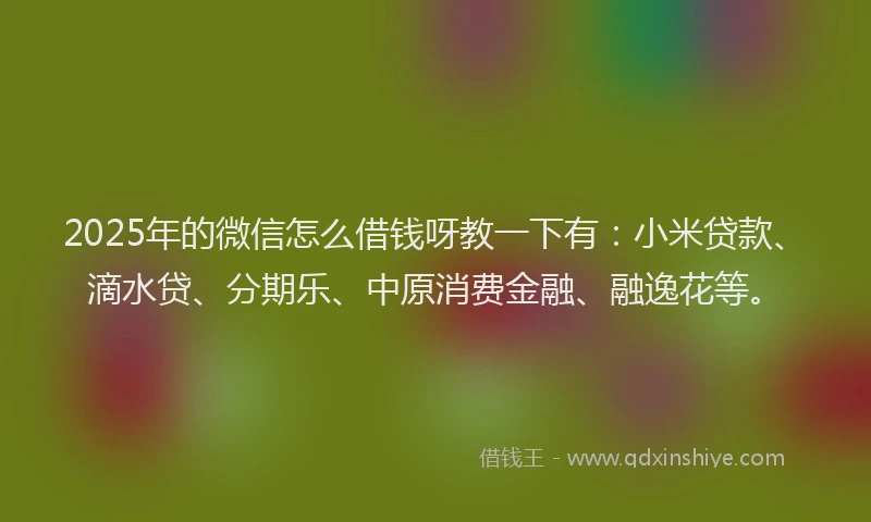 2025年的微信怎么借钱呀教一下有：小米贷款、滴水贷、分期乐、中原消费金融、融逸花等。