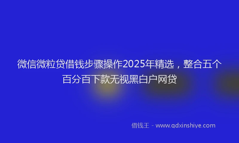 微信微粒贷借钱步骤操作2025年精选，整合五个百分百下款无视黑白户网贷