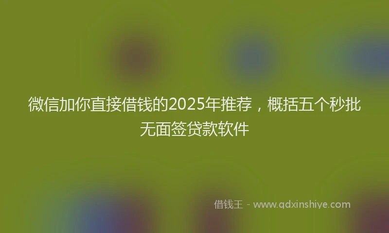 微信加你直接借钱的2025年推荐，概括五个秒批无面签贷款软件