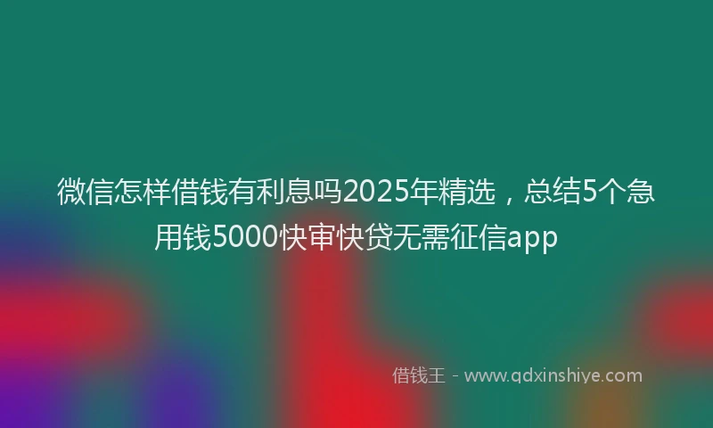 微信怎样借钱有利息吗2025年精选，总结5个急用钱5000快审快贷无需征信app