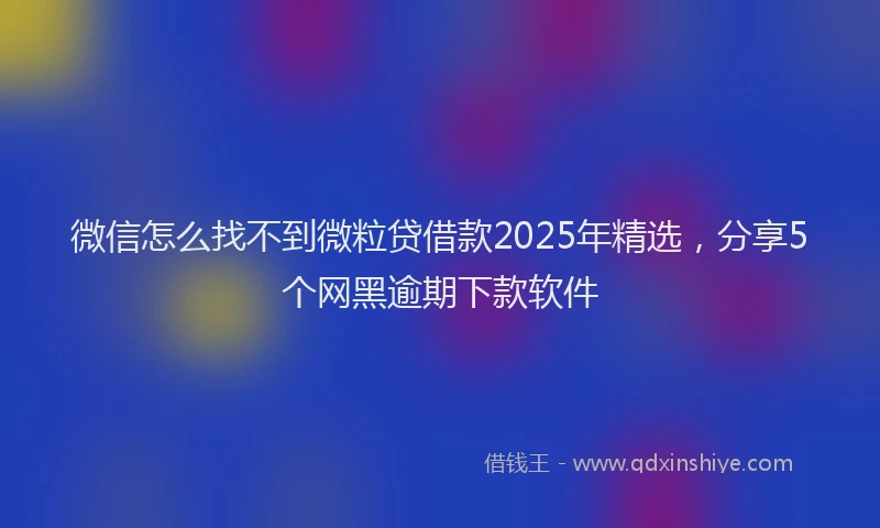 微信怎么找不到微粒贷借款2025年精选，分享5个网黑逾期下款软件