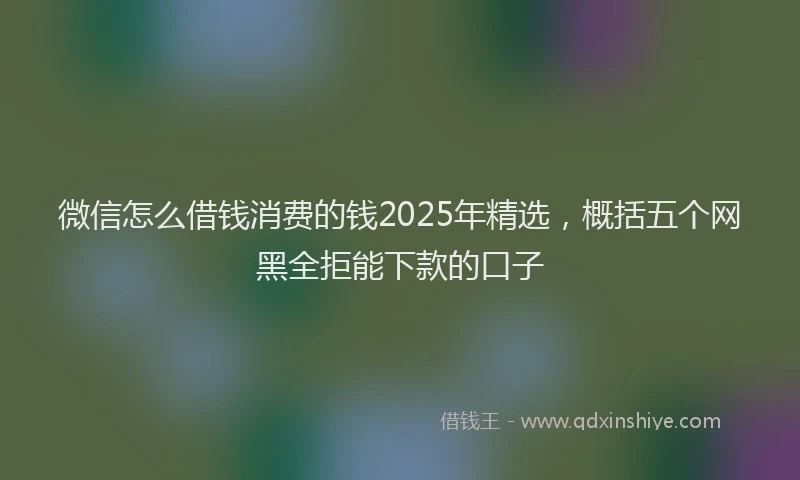 微信怎么借钱消费的钱2025年精选，概括五个网黑全拒能下款的口子