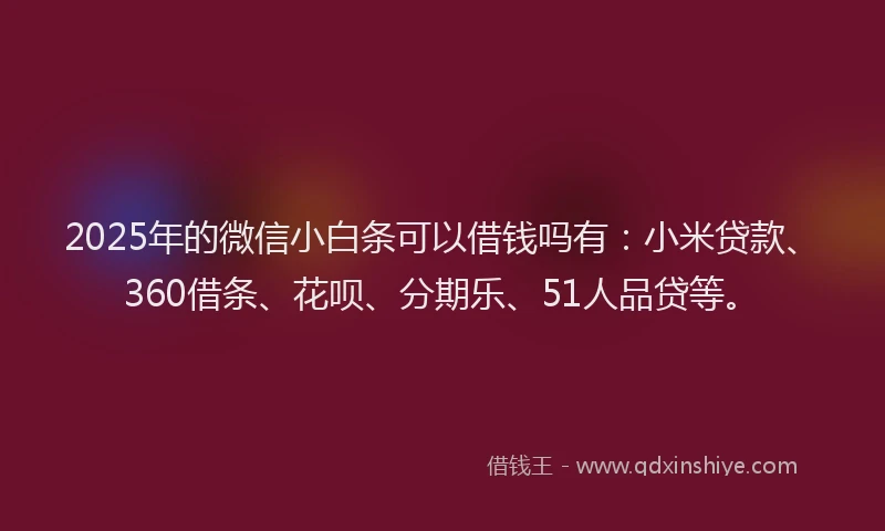 2025年的微信小白条可以借钱吗有：小米贷款、360借条、花呗、分期乐、51人品贷等。
