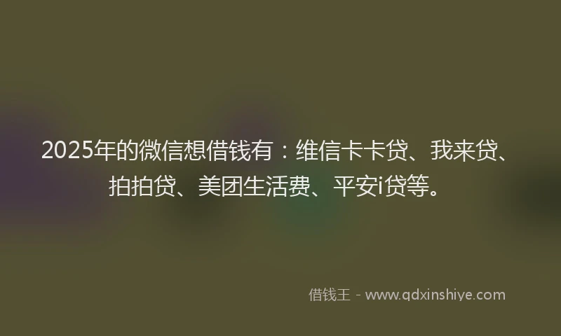 2025年的微信想借钱有：维信卡卡贷、我来贷、拍拍贷、美团生活费、平安i贷等。