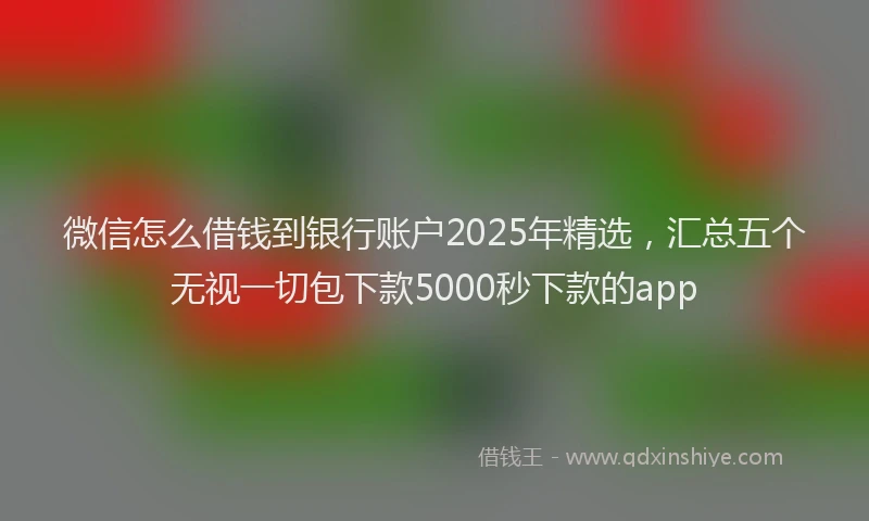 微信怎么借钱到银行账户2025年精选，汇总五个无视一切包下款5000秒下款的app