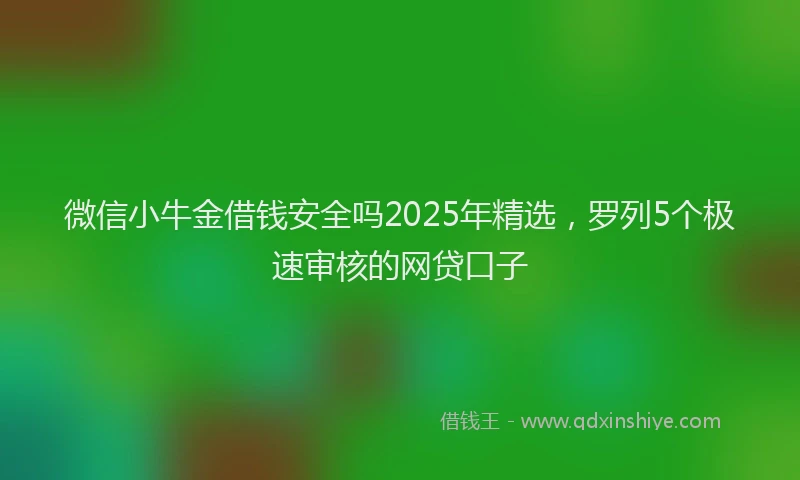 微信小牛金借钱安全吗2025年精选，罗列5个极速审核的网贷口子