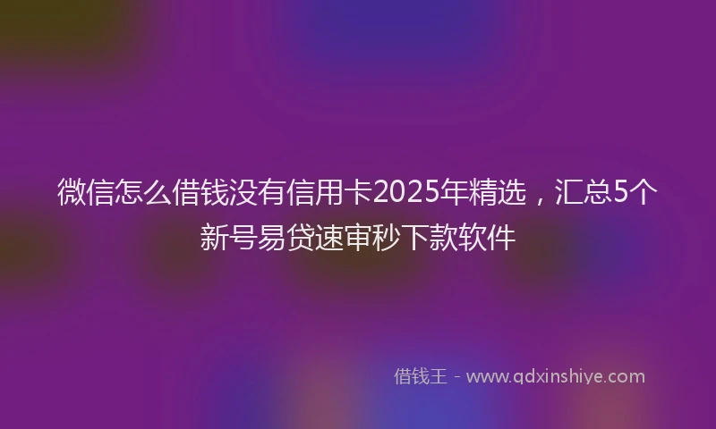 微信怎么借钱没有信用卡2025年精选，汇总5个新号易贷速审秒下款软件