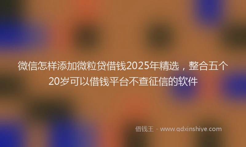 微信怎样添加微粒贷借钱2025年精选，整合五个20岁可以借钱平台不查征信的软件