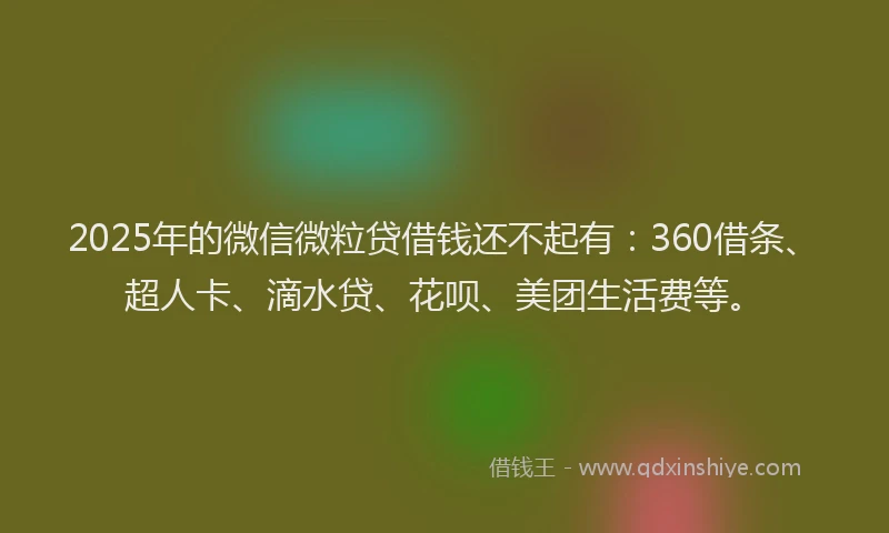 2025年的微信微粒贷借钱还不起有：360借条、超人卡、滴水贷、花呗、美团生活费等。