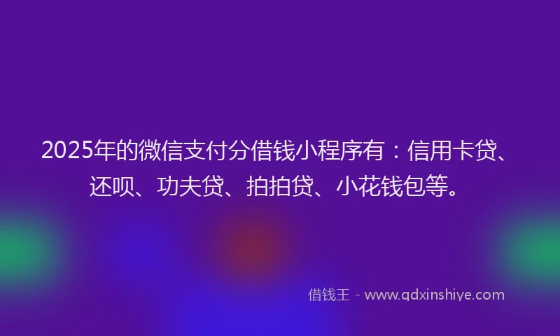 2025年的微信支付分借钱小程序有：信用卡贷、还呗、功夫贷、拍拍贷、小花钱包等。
