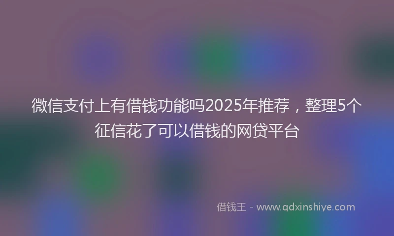 微信支付上有借钱功能吗2025年推荐，整理5个征信花了可以借钱的网贷平台