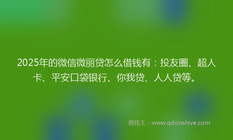 2025年的微信微丽贷怎么借钱有：投友圈、超人卡、平安口袋银行、你我贷、人人贷等。