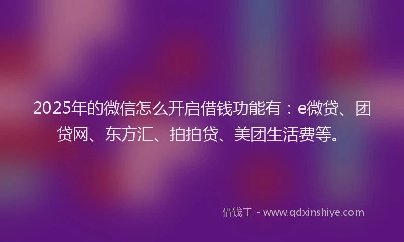 2025年的微信怎么开启借钱功能有：e微贷、团贷网、东方汇、拍拍贷、美团生活费等。
