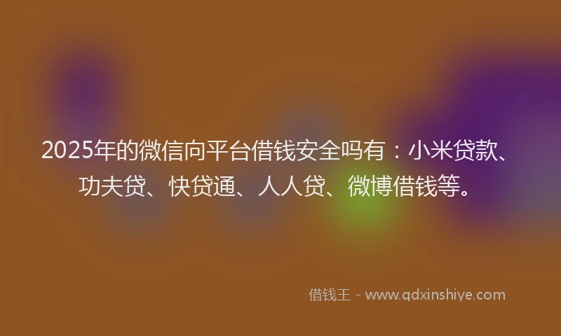 2025年的微信向平台借钱安全吗有：小米贷款、功夫贷、快贷通、人人贷、微博借钱等。