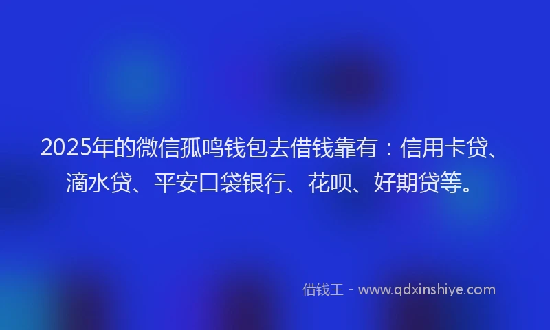 2025年的微信孤鸣钱包去借钱靠有：信用卡贷、滴水贷、平安口袋银行、花呗、好期贷等。