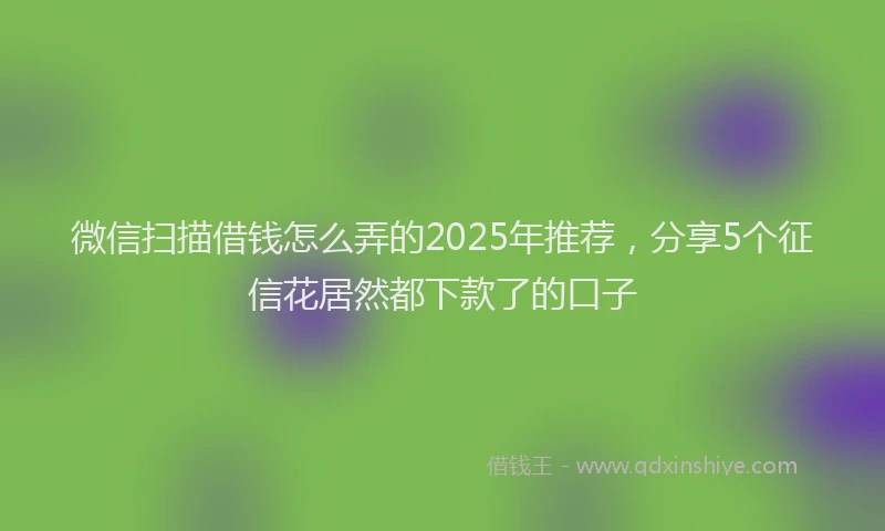 微信扫描借钱怎么弄的2025年推荐，分享5个征信花居然都下款了的口子