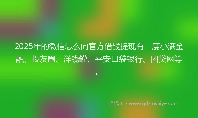 2025年的微信怎么向官方借钱提现有：度小满金融、投友圈、洋钱罐、平安口袋银行、团贷网等。