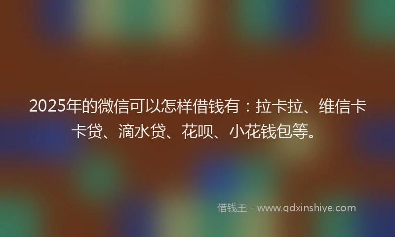 2025年的微信可以怎样借钱有：拉卡拉、维信卡卡贷、滴水贷、花呗、小花钱包等。
