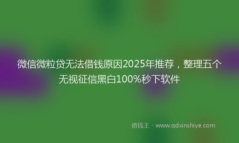 微信微粒贷无法借钱原因2025年推荐，整理五个无视征信黑白100%秒下软件