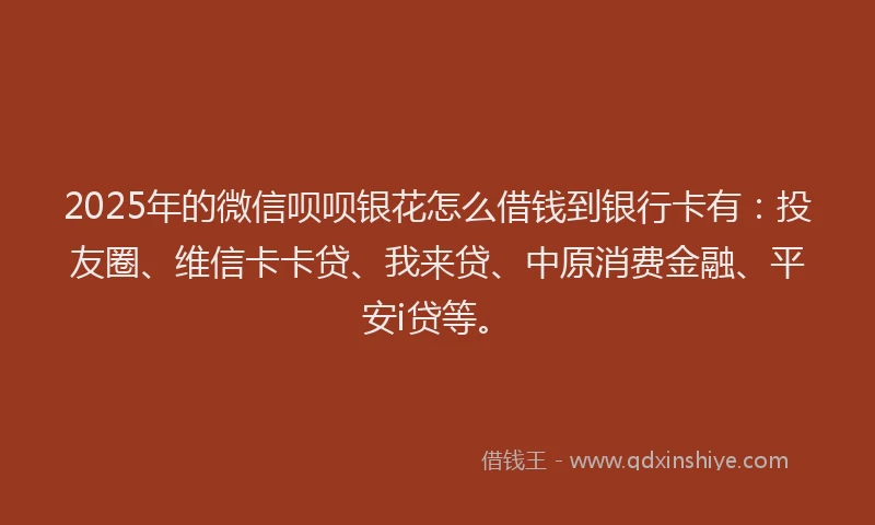 2025年的微信呗呗银花怎么借钱到银行卡有：投友圈、维信卡卡贷、我来贷、中原消费金融、平安i贷等。