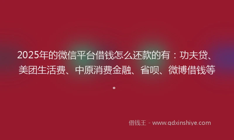 2025年的微信平台借钱怎么还款的有：功夫贷、美团生活费、中原消费金融、省呗、微博借钱等。