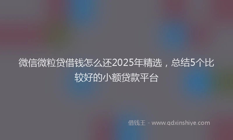 微信微粒贷借钱怎么还2025年精选，总结5个比较好的小额贷款平台
