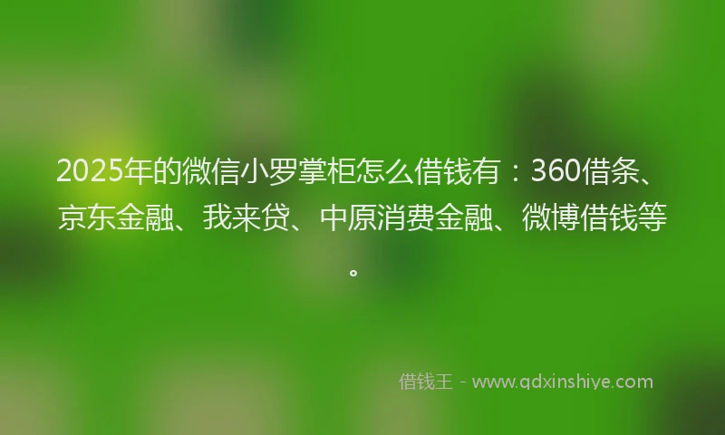 2025年的微信小罗掌柜怎么借钱有：360借条、京东金融、我来贷、中原消费金融、微博借钱等。