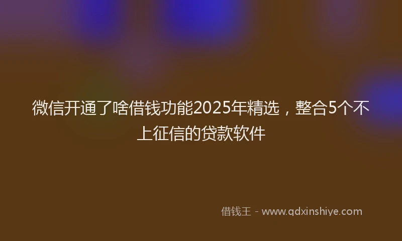 微信开通了啥借钱功能2025年精选，整合5个不上征信的贷款软件
