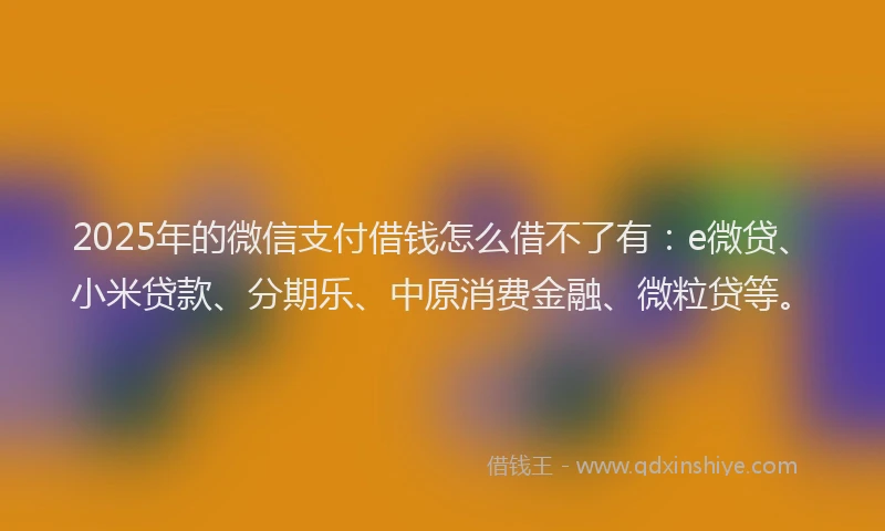 2025年的微信支付借钱怎么借不了有：e微贷、小米贷款、分期乐、中原消费金融、微粒贷等。
