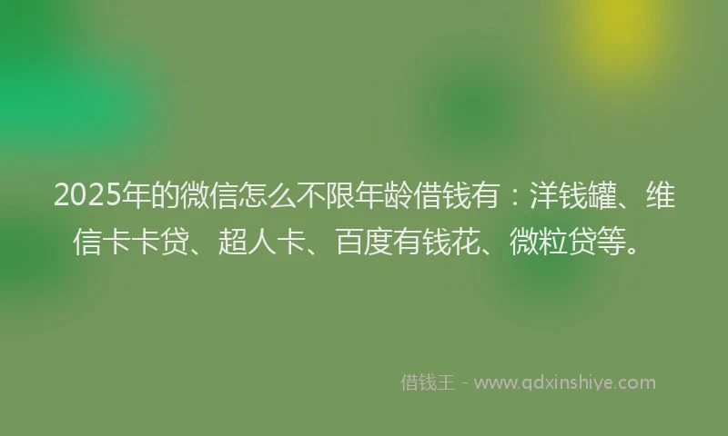 2025年的微信怎么不限年龄借钱有：洋钱罐、维信卡卡贷、超人卡、百度有钱花、微粒贷等。
