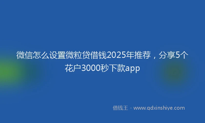 微信怎么设置微粒贷借钱2025年推荐，分享5个花户3000秒下款app