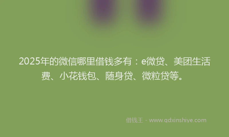 2025年的微信哪里借钱多有：e微贷、美团生活费、小花钱包、随身贷、微粒贷等。