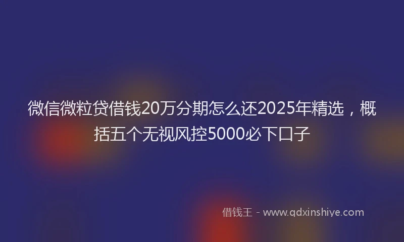 微信微粒贷借钱20万分期怎么还2025年精选，概括五个无视风控5000必下口子